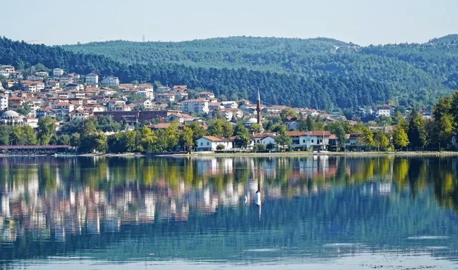 Sakarya Sapanca - (Alış L.)